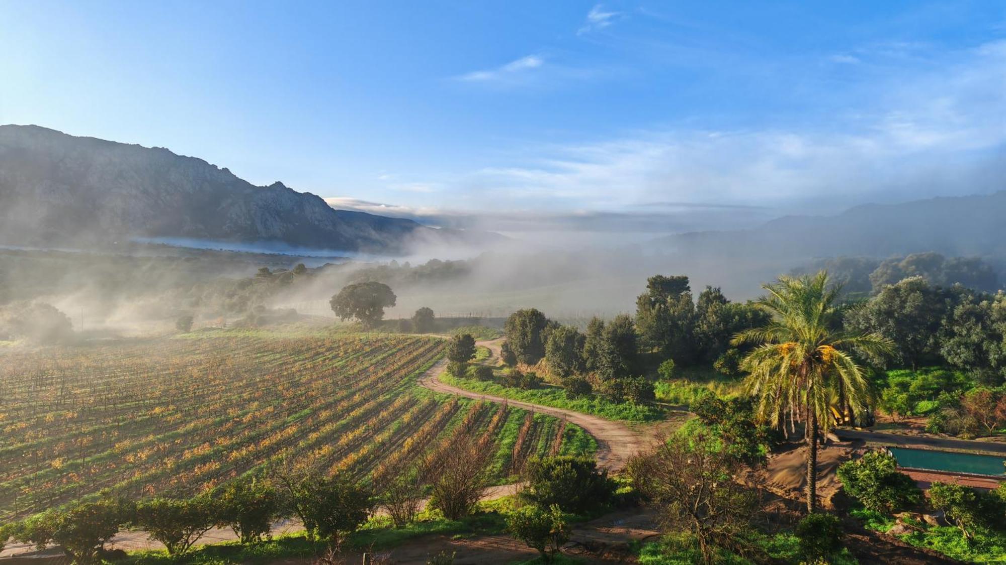 Le Hameau De Saparale Sartène Esterno foto