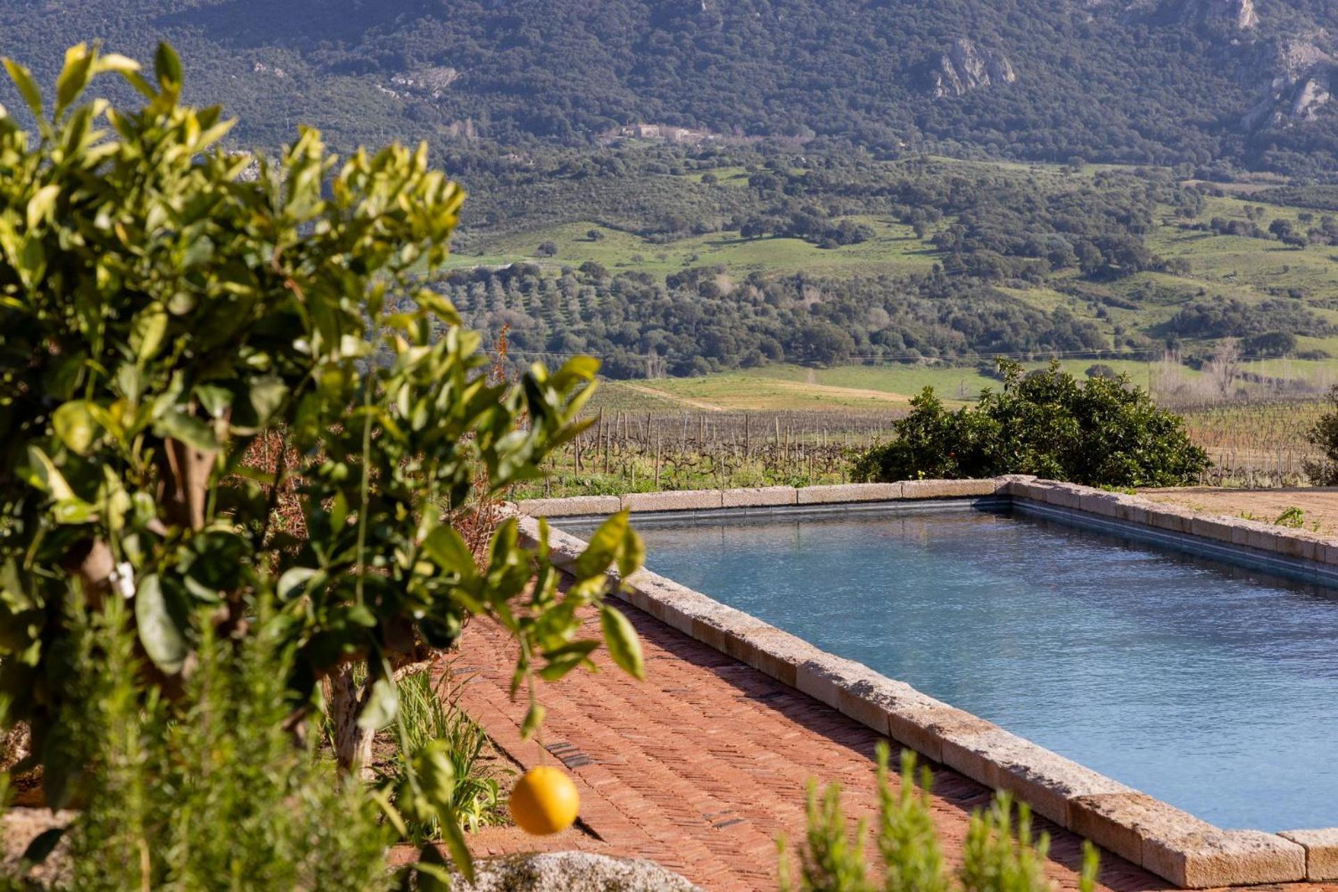 Le Hameau De Saparale Sartène Esterno foto